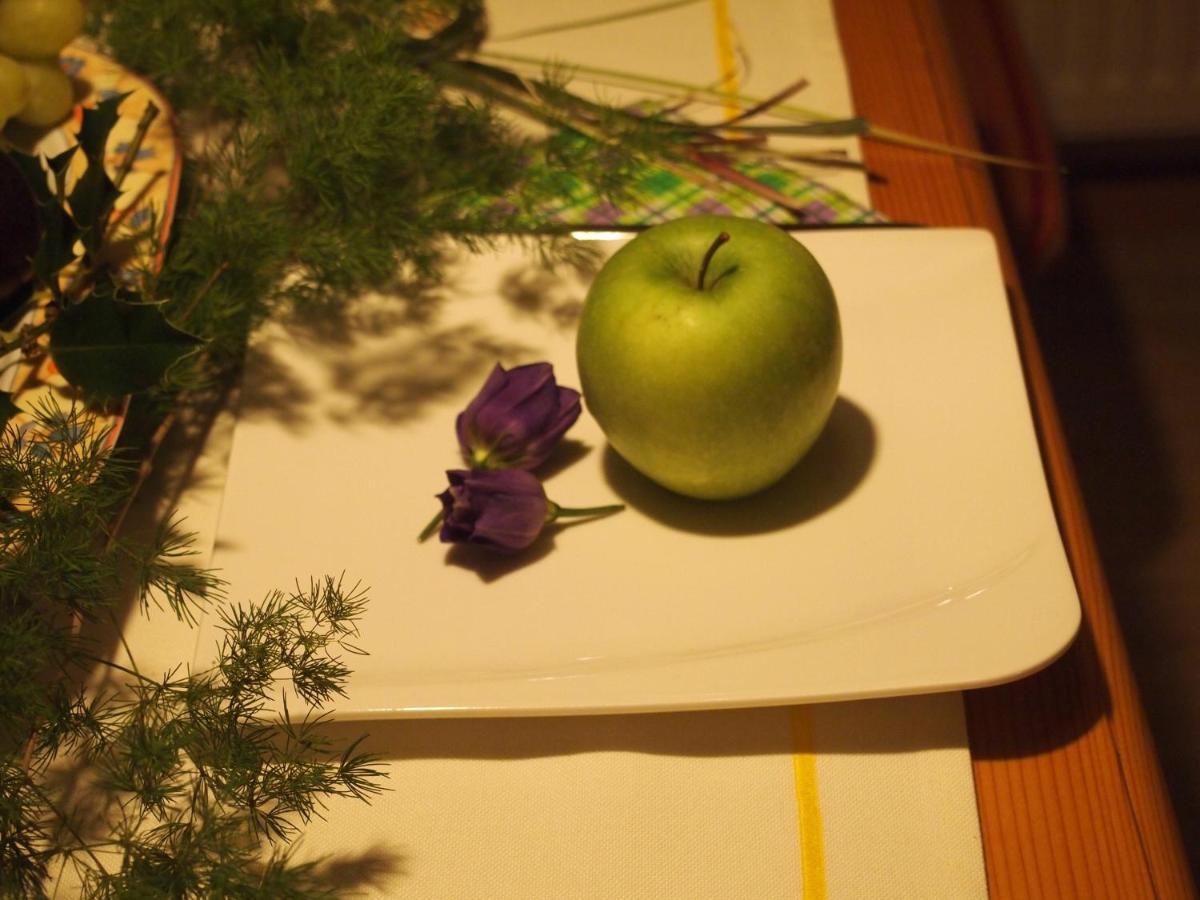 Landhaus Marie-Theres 奥伯斯特多夫 外观 照片